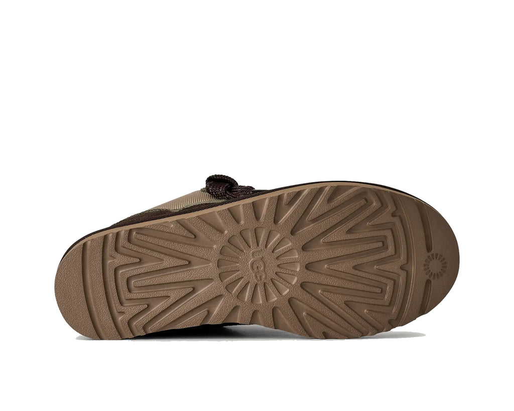 Burnt Oliver Mustard Seed