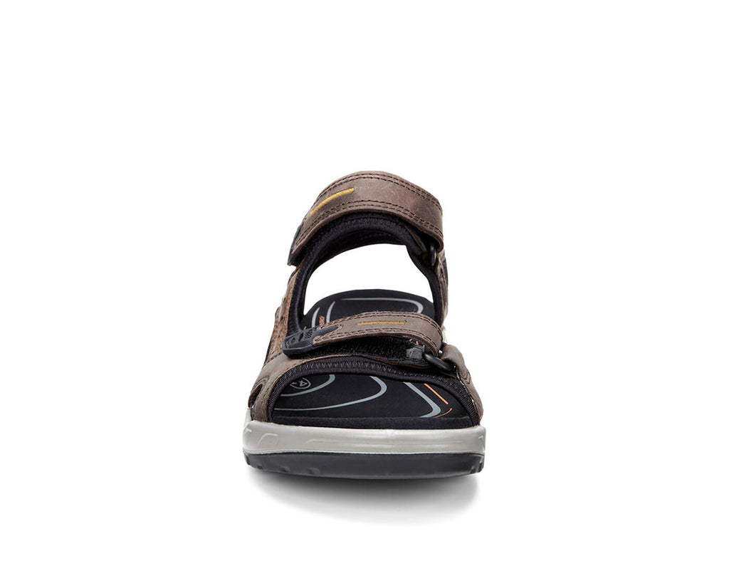 ESPRESSO COCOA BROWN BLACK