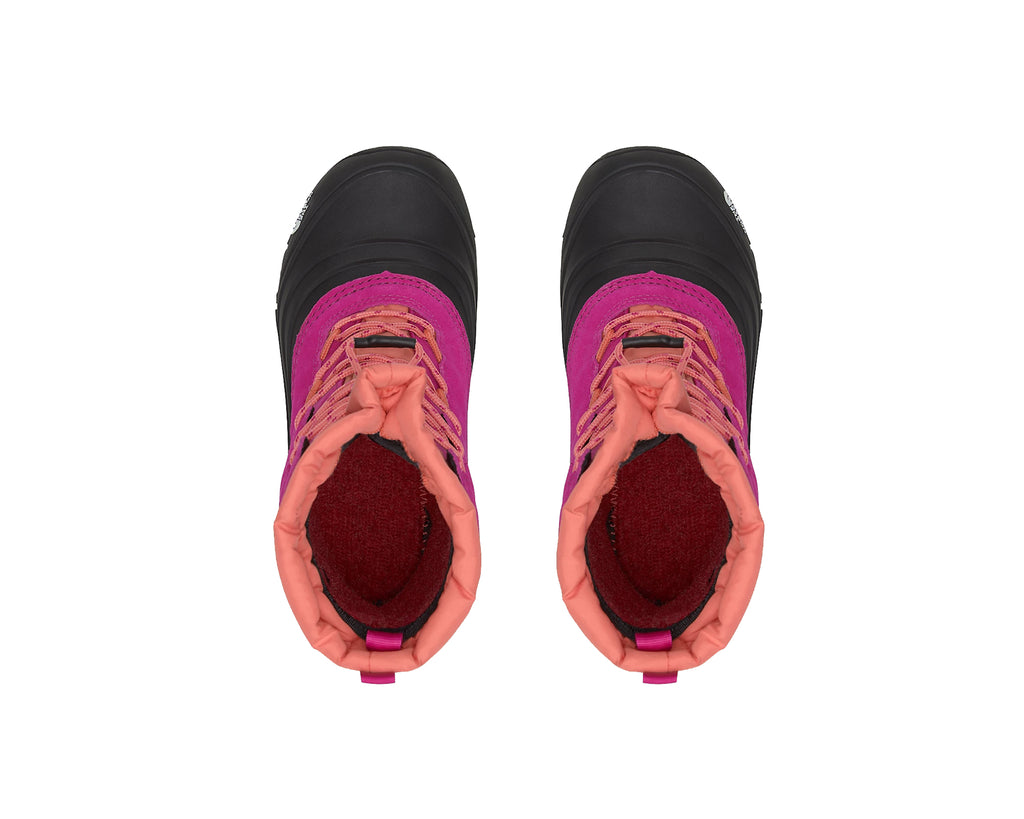 FUSCHIA PINK CORAL SUNRISE