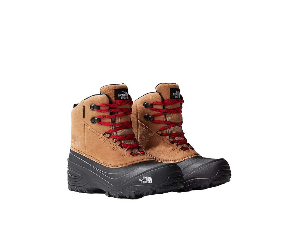 Tnf chilkat clearance